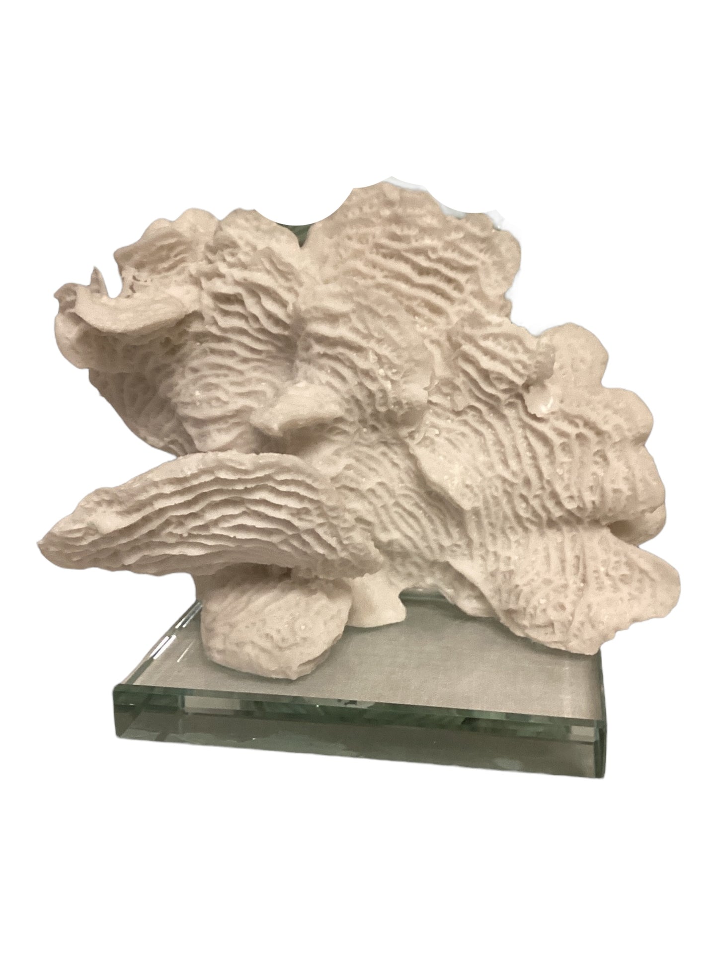 Coral Sculpture Set