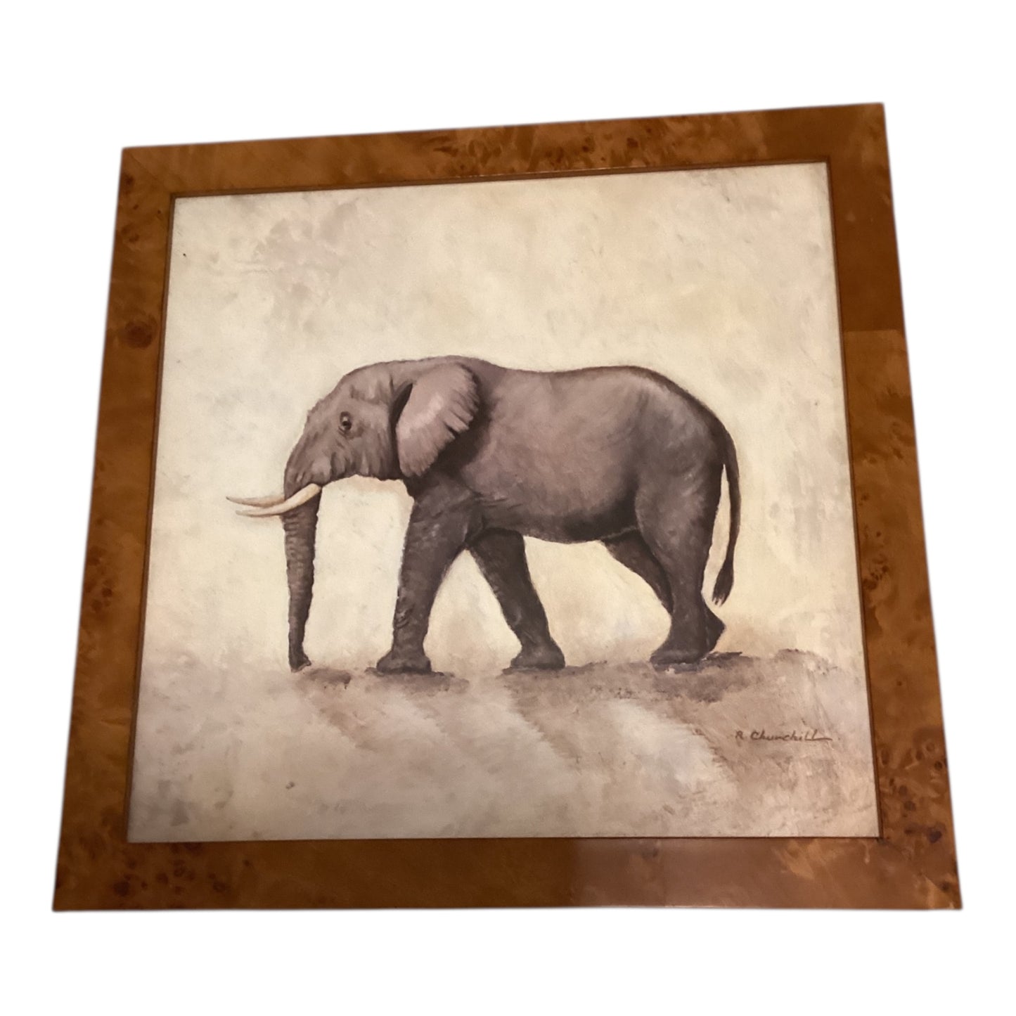 Antique Elephant Picture