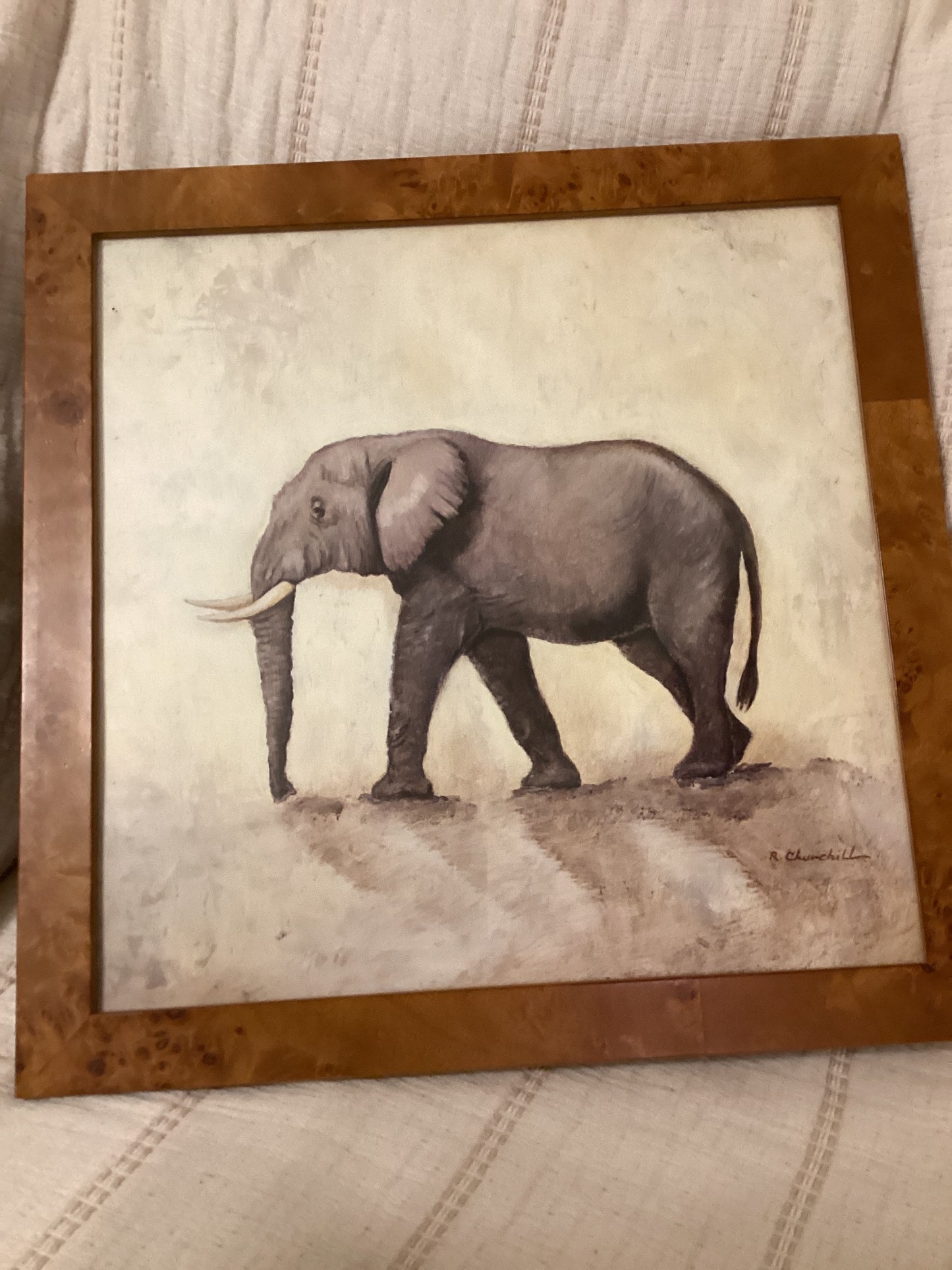 Antique Elephant Picture