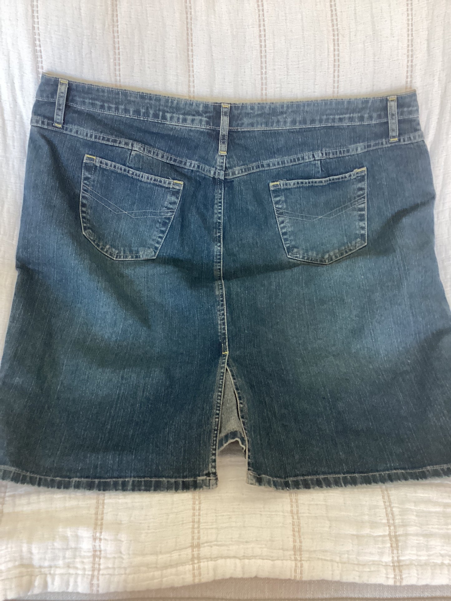 Carolina Blues Plus Jean Skirt (22)