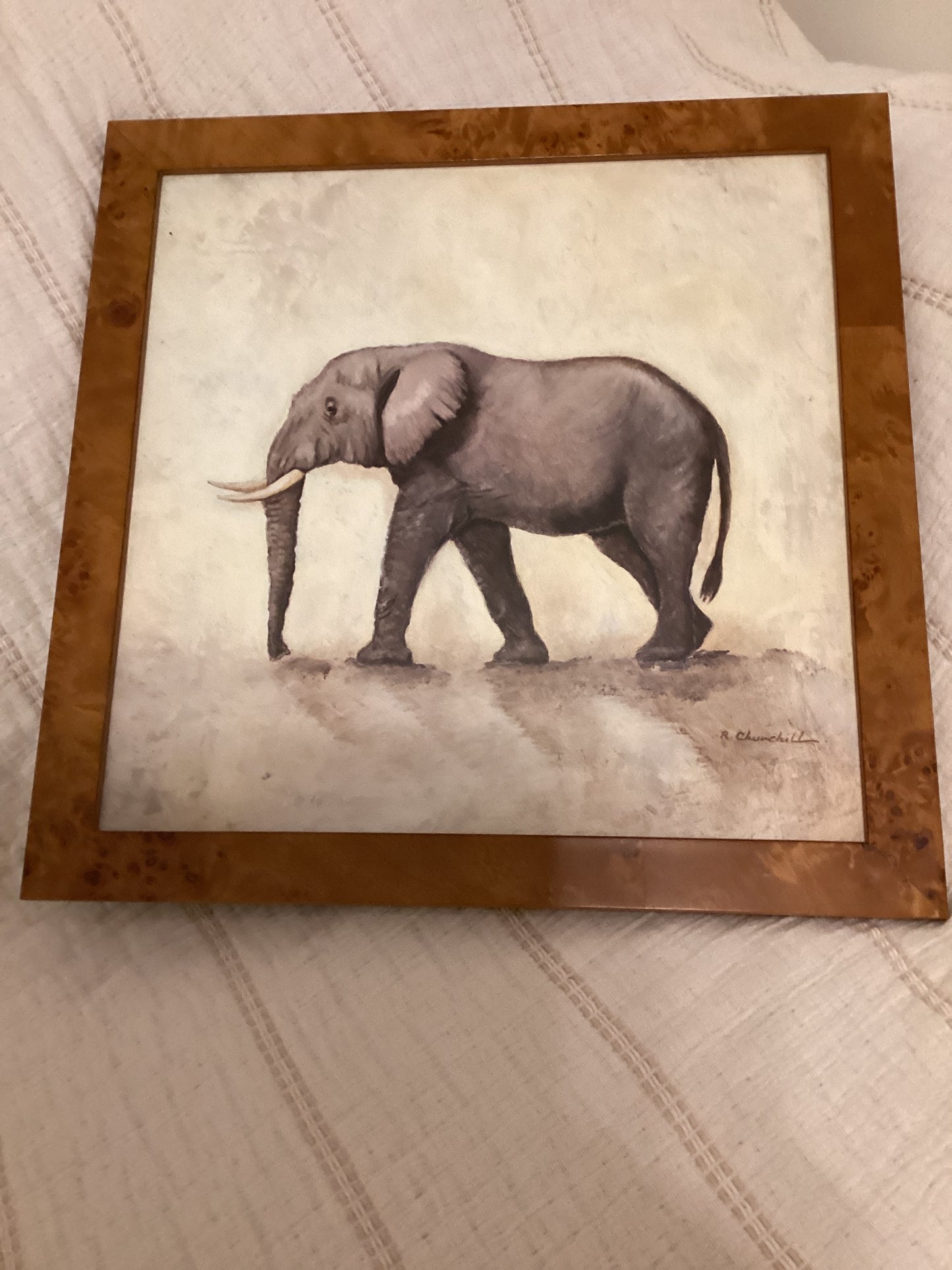 Antique Elephant Picture