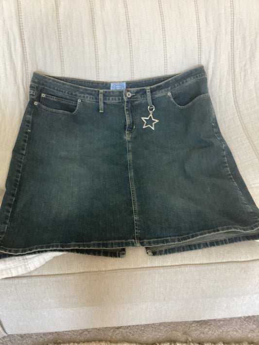 Carolina Blues Plus Jean Skirt (22)