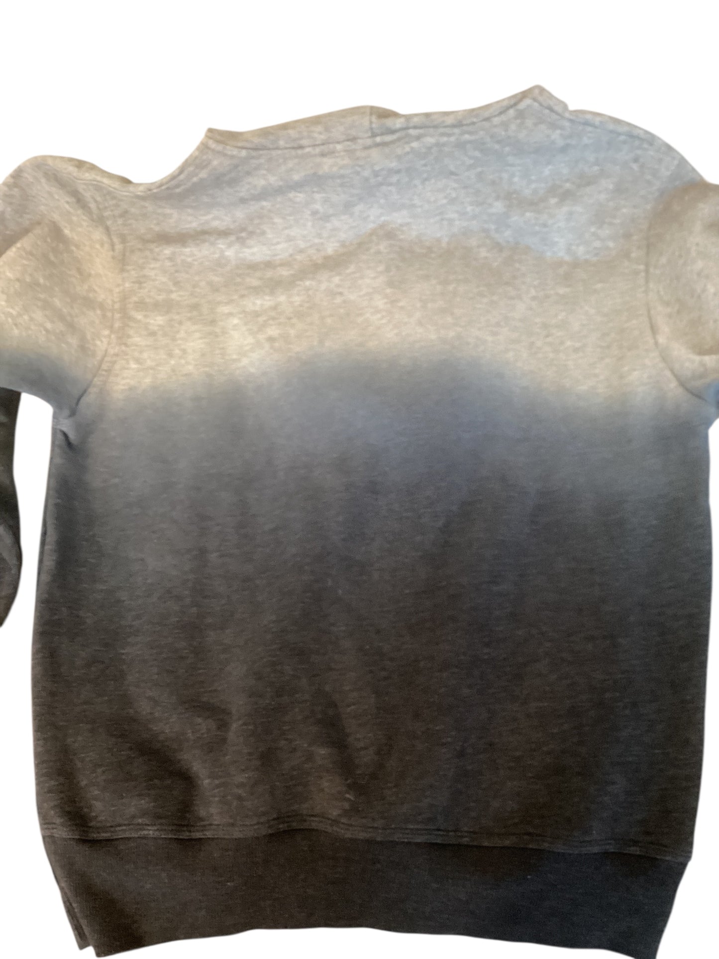 Champion Ombré Hoodie